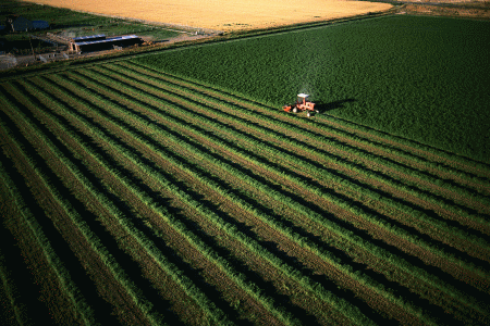 Terreni agricoli