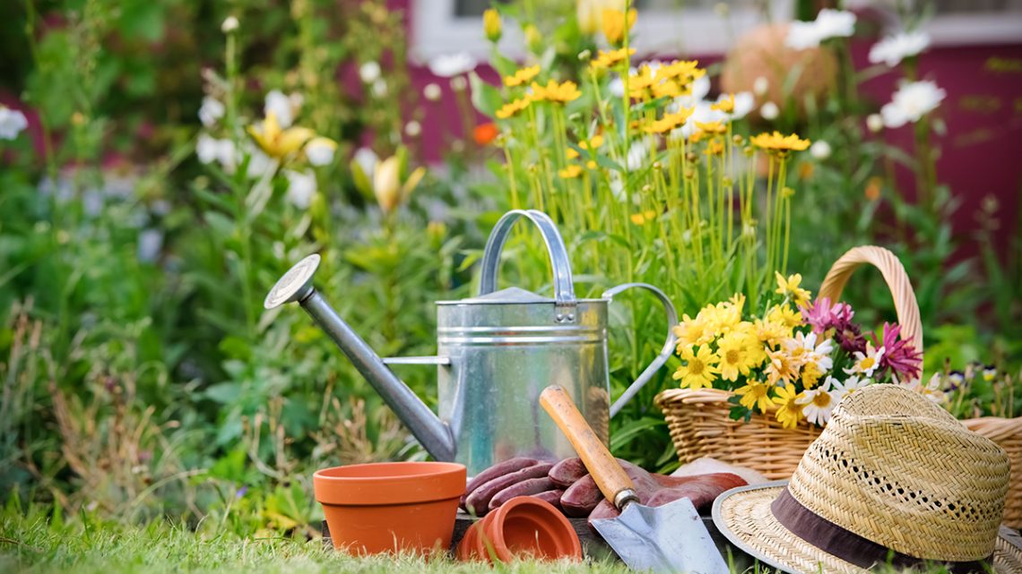 Giardinaggio ed estate: otto trucchi per combattere l'afa